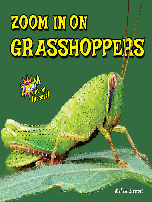 Title details for Zoom In on Grasshoppers by Melissa Stewart - Wait list
